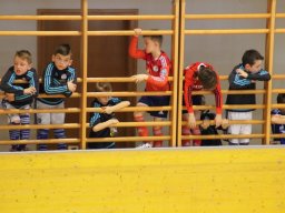 mini-IMG_5391